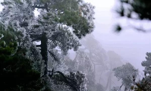 《皓镧传》吕不韦自己的女人献给主子 生一子名垂千古