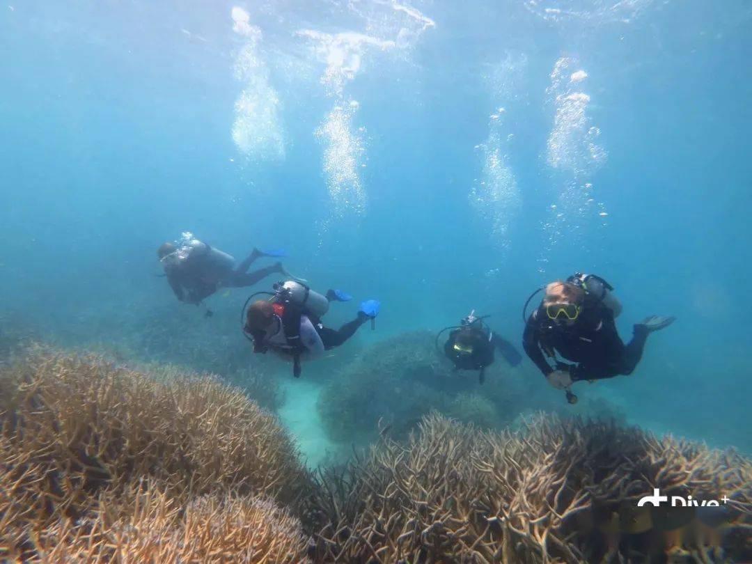 海绵宝宝寻珍宝
