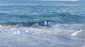 小长颈鹿逃离