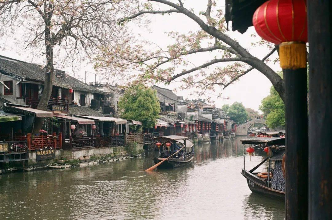 怎样保持独立自我的同时又能照顾爸妈的情绪？游戏画面